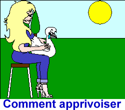 Comment apprivoiser de nouvelles poules ?
